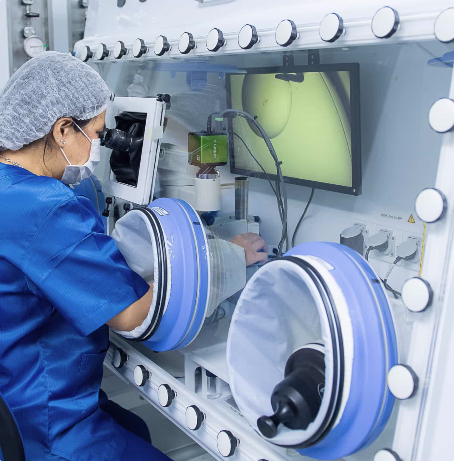 specialist scanning eggs